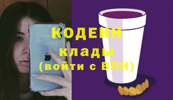 спиды Лагань
