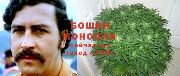 спиды Лагань